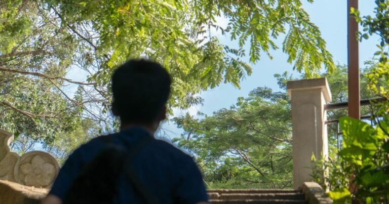 Person quietly looking out at trees on a sunny day