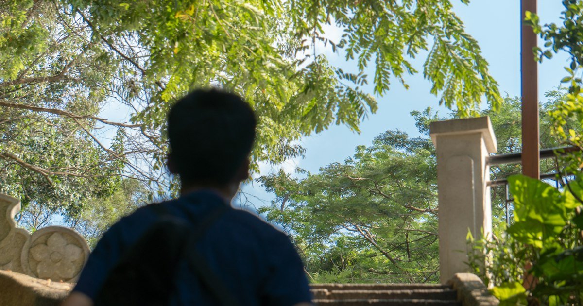 Person quietly looking out at trees on a sunny day